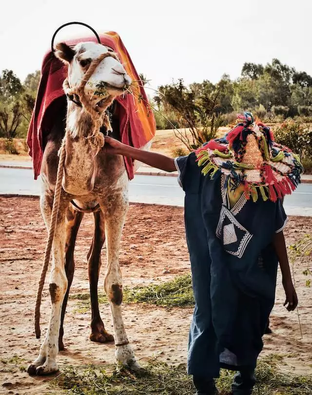 Marrakech & Sahara, Morocco